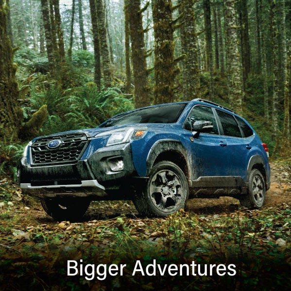 A blue Subaru outback wilderness with the words “Bigger Adventures“. | Subaru of Ann Arbor in Ann Arbor MI