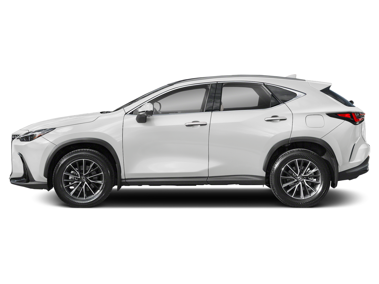 2024 Lexus NX 350h Luxury photo 2