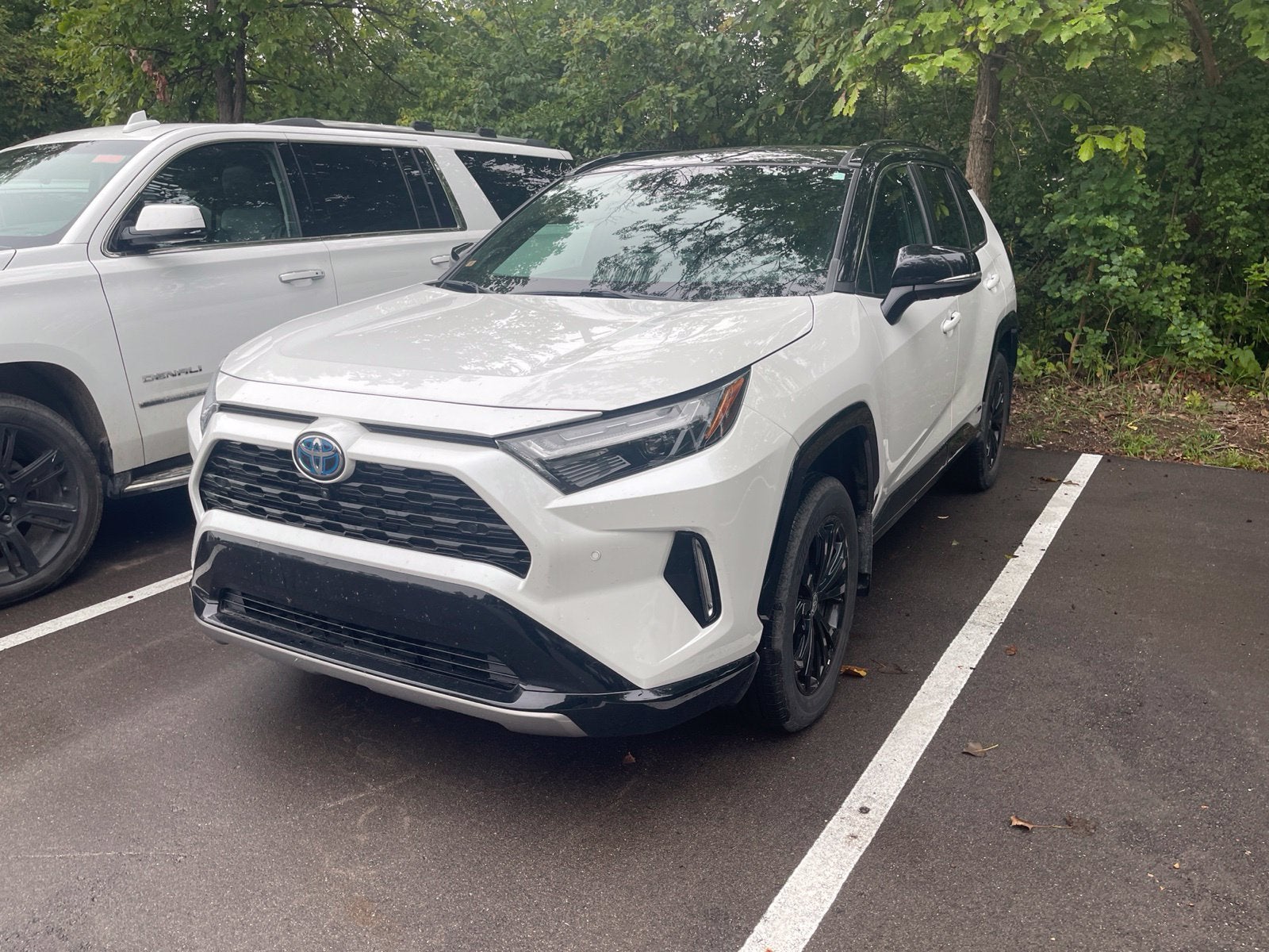 2023 Toyota RAV4 Hybrid XSE