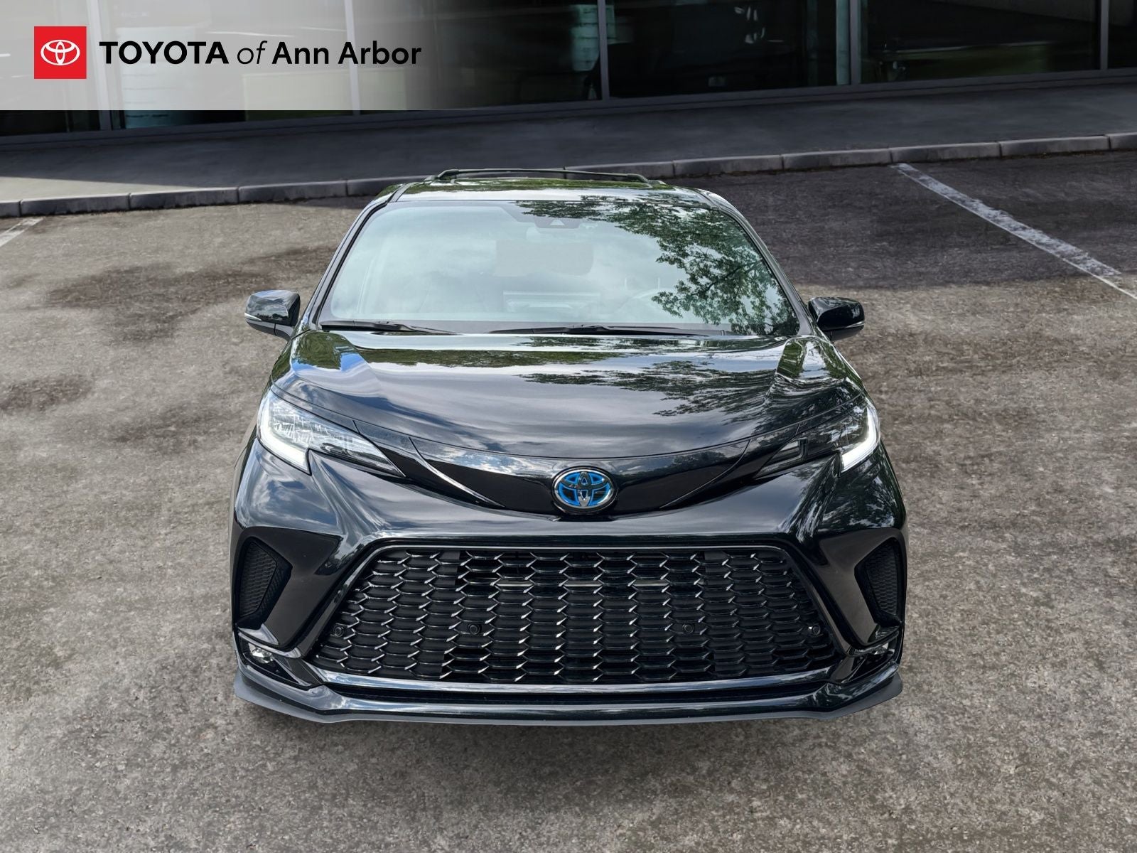 2025 Toyota Sienna XSE 7 Passenger