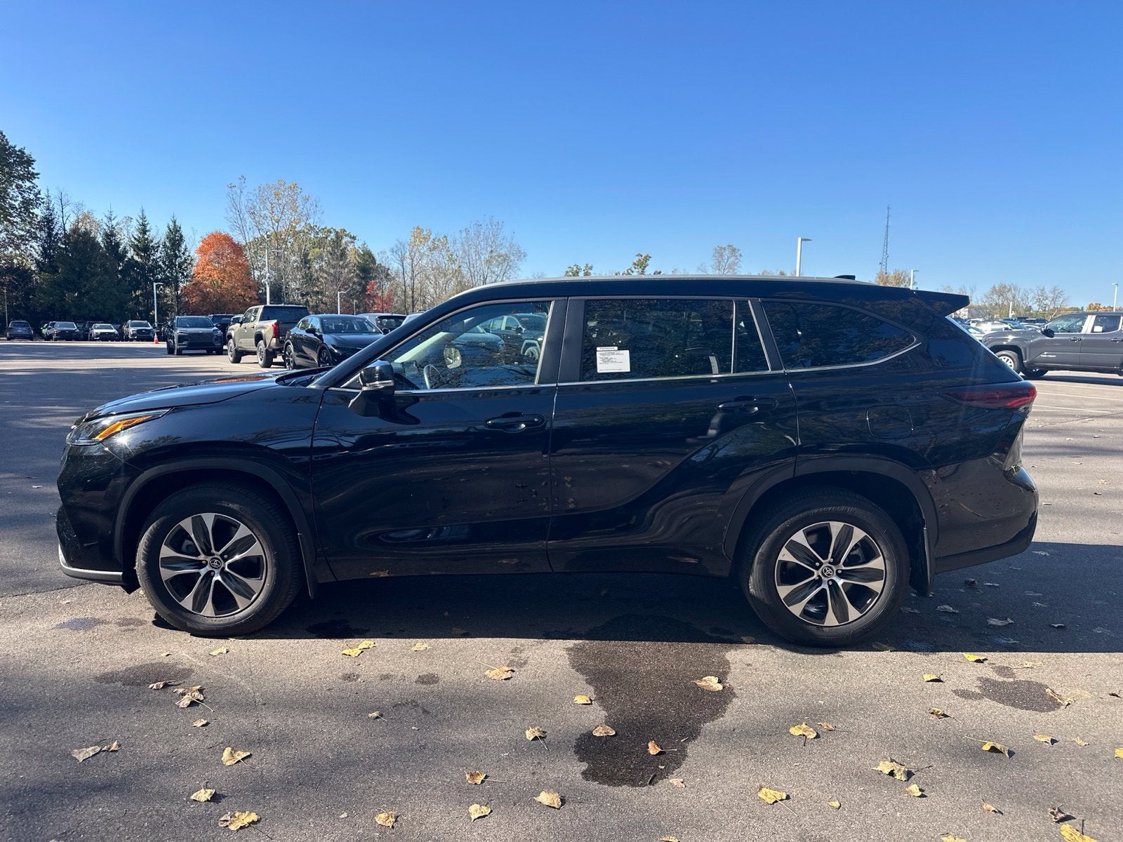 2025 Toyota Highlander XLE