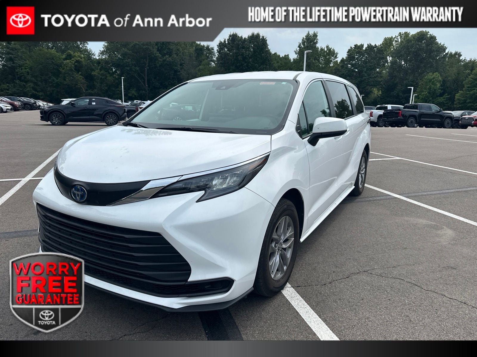 2025 Toyota Sienna LE 8 Passenger
