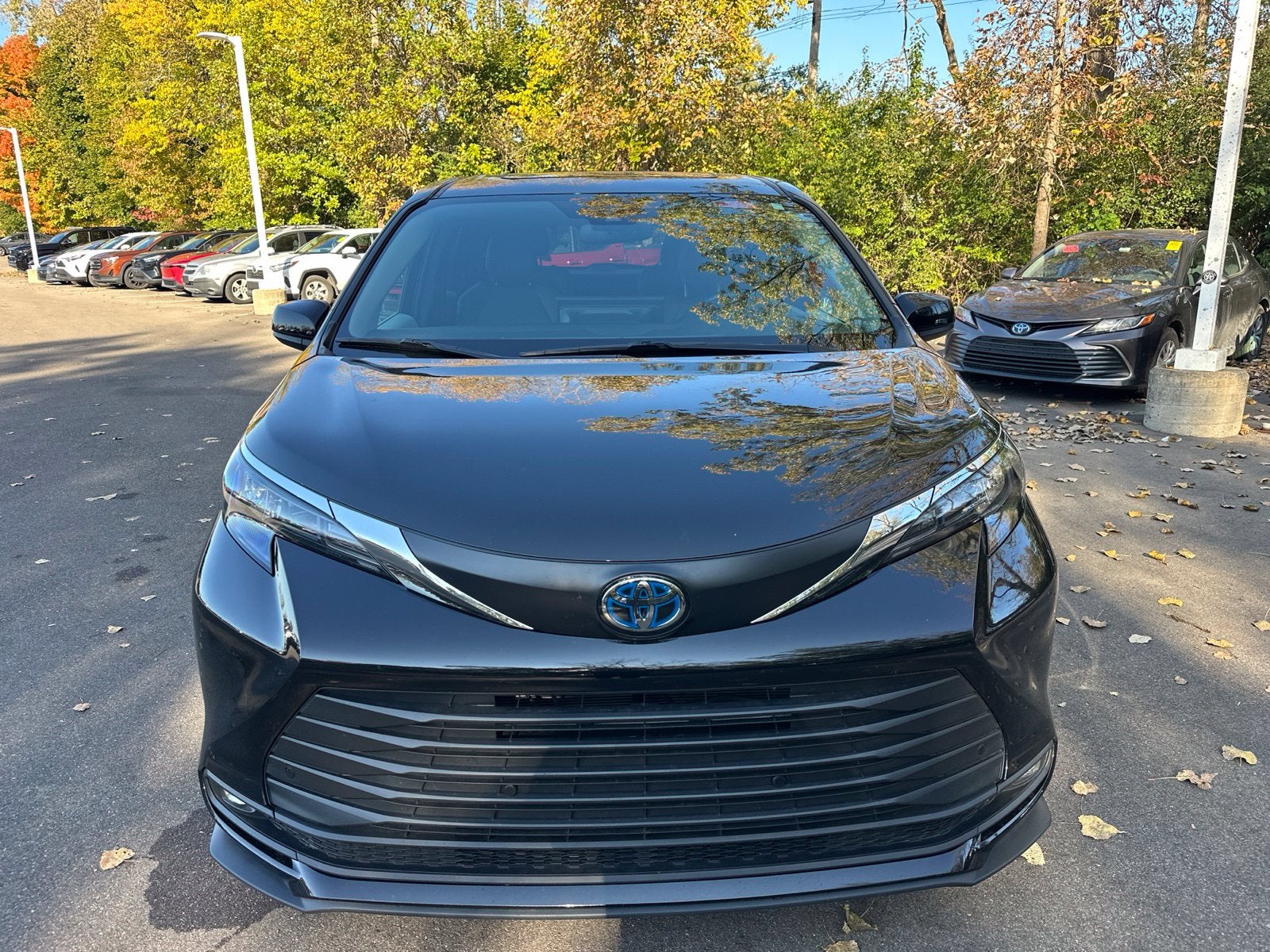 2025 Toyota Sienna XLE 7 Passenger
