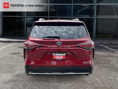 2024 Toyota Sienna Limited 7 Passenger
