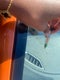 2019 Subaru Crosstrek 2.0i