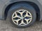 2024 Subaru Forester Premium **LIFETIME POWERTRAIN**