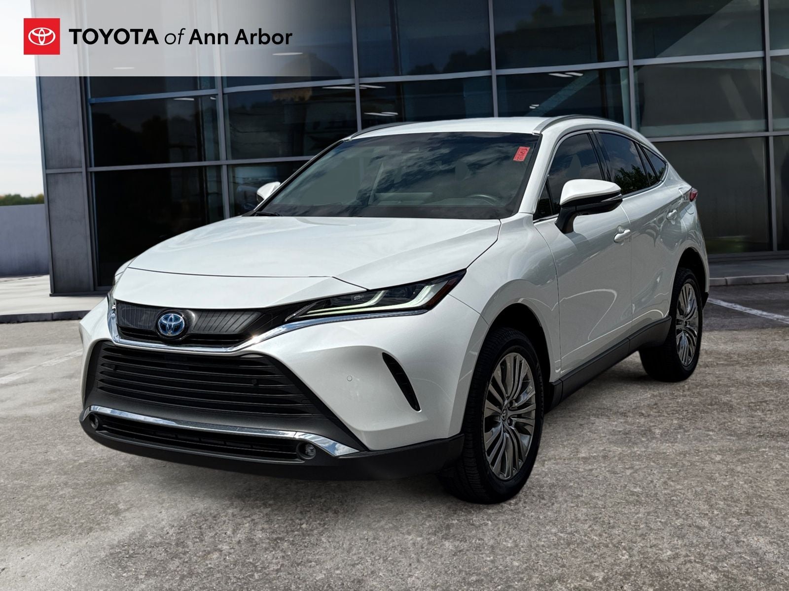 2023 Toyota Venza XLE