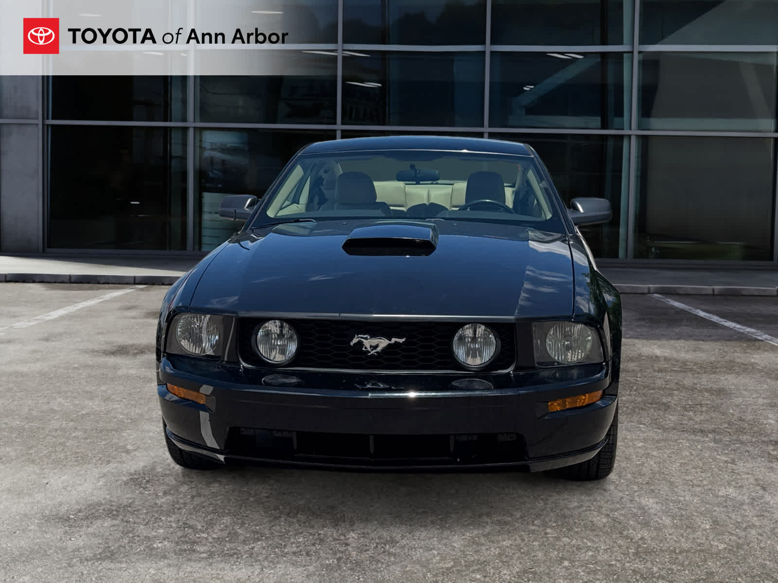 2008 Ford Mustang GT Premium