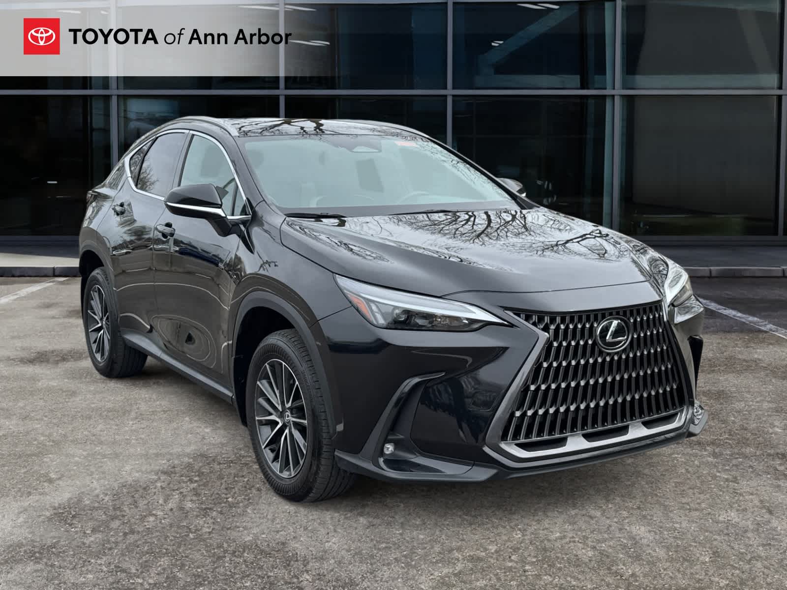 2024 Lexus NX 350 NX 350