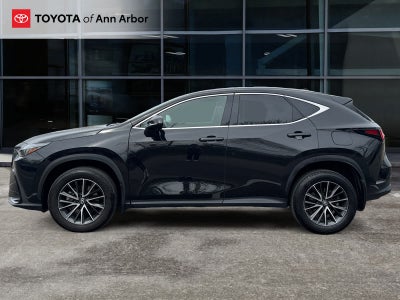 2024 Lexus NX 350 NX 350