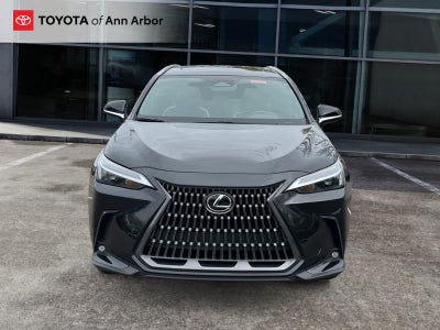 2024 Lexus NX 350 NX 350