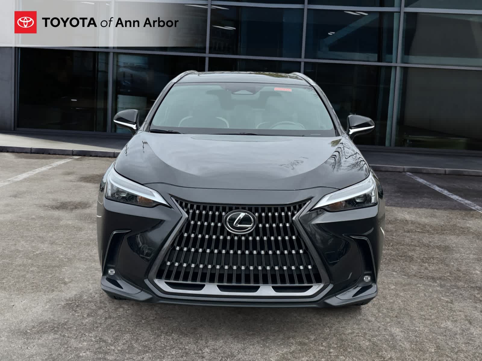 2024 Lexus NX 350 NX 350