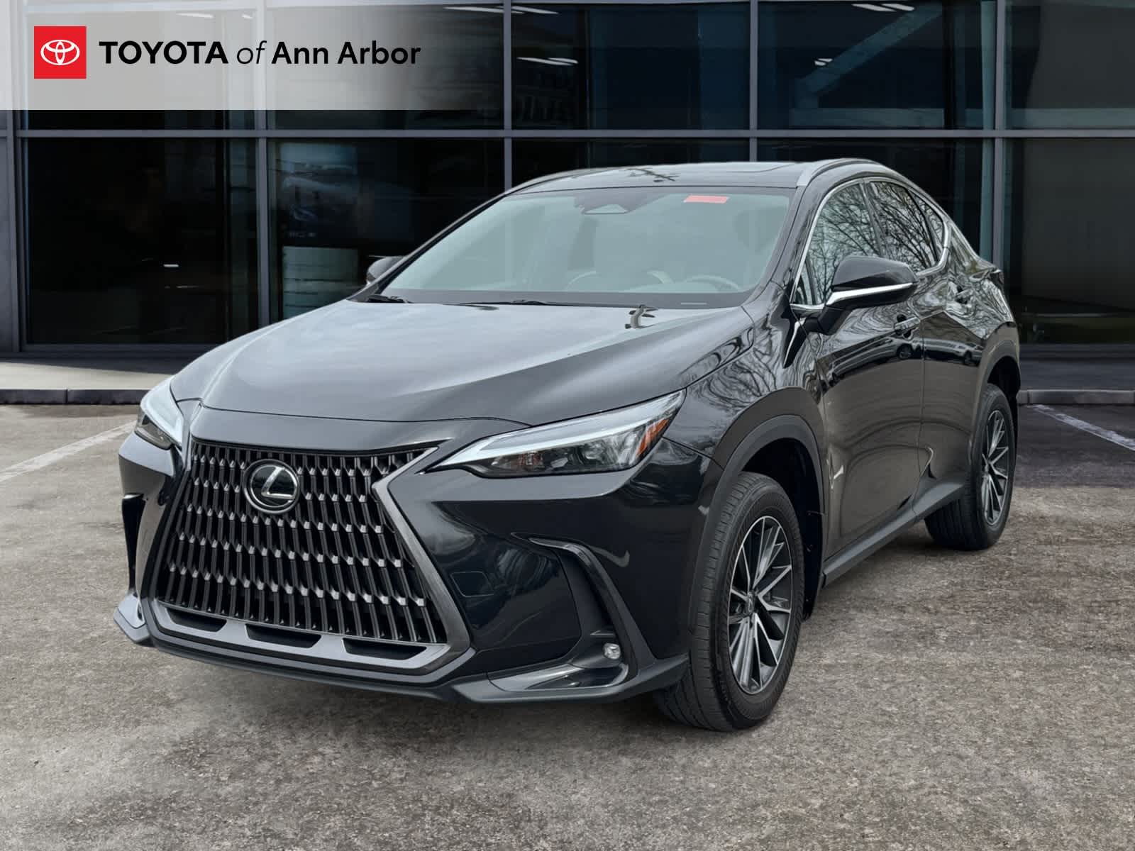 2024 Lexus NX 350 NX 350