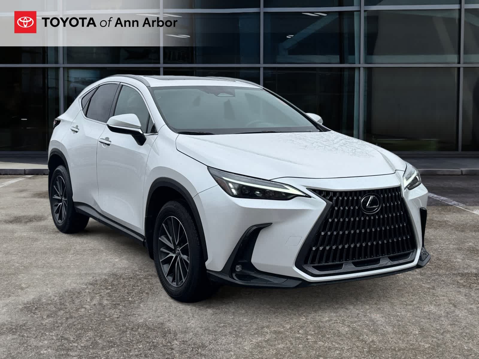 2024 Lexus NX NX 350