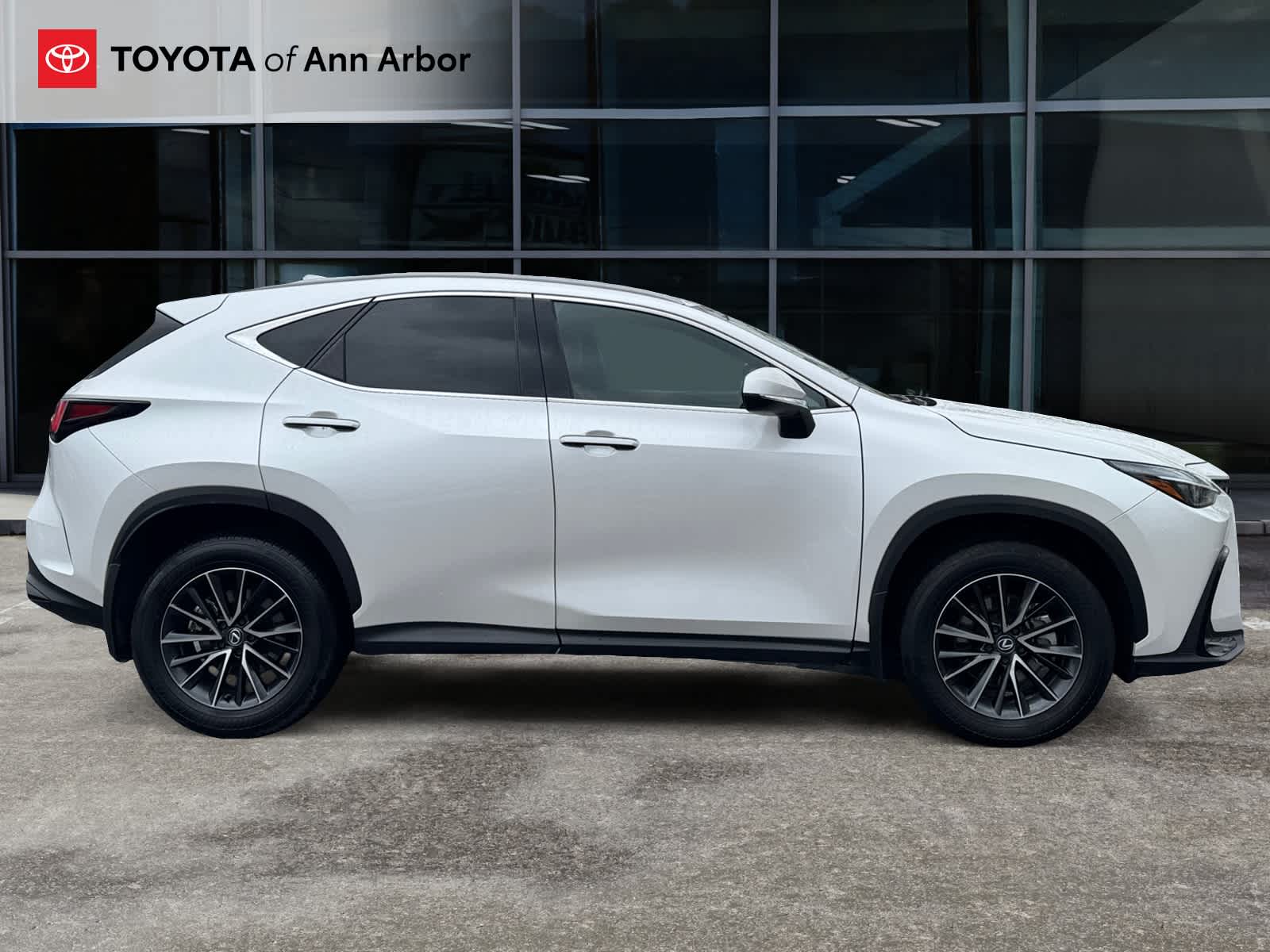 2024 Lexus NX NX 350