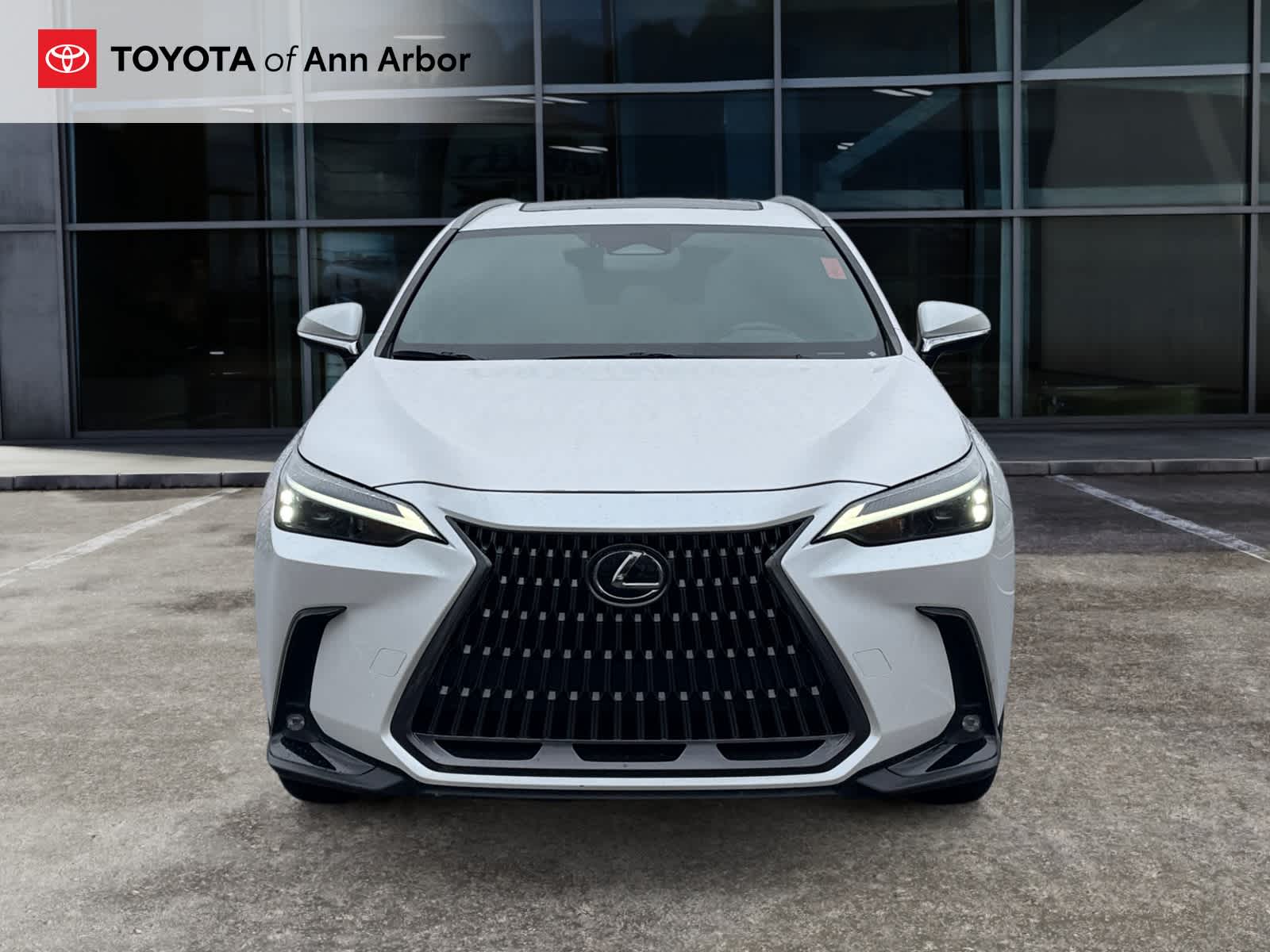2024 Lexus NX NX 350