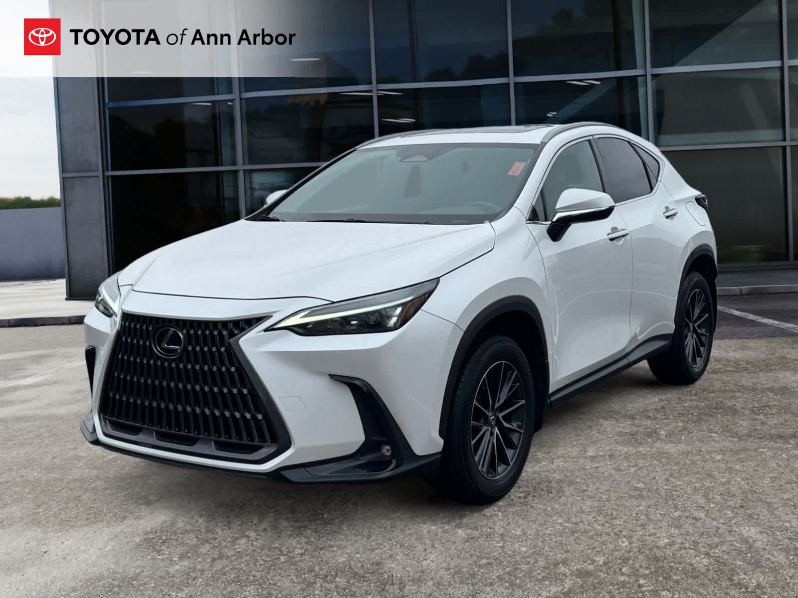 2024 Lexus NX NX 350