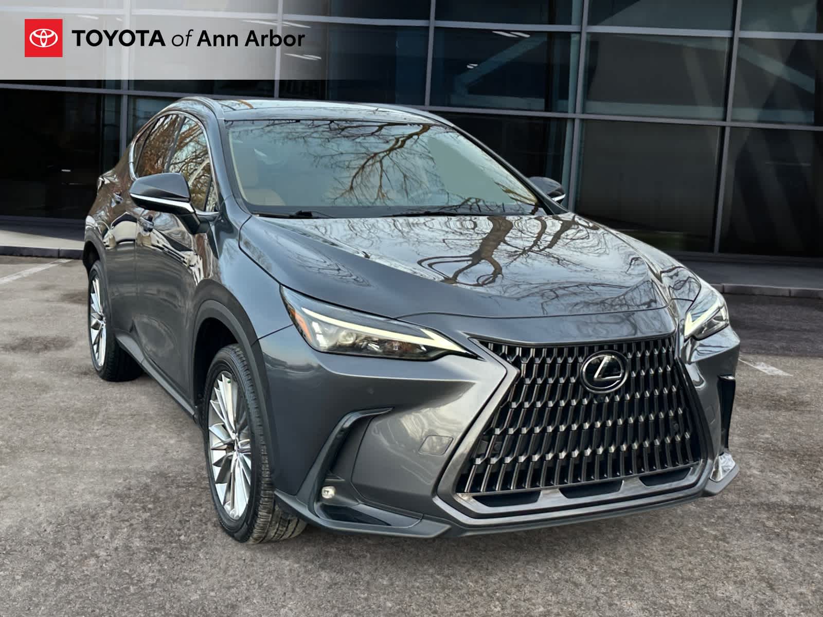 2022 Lexus NX Luxury