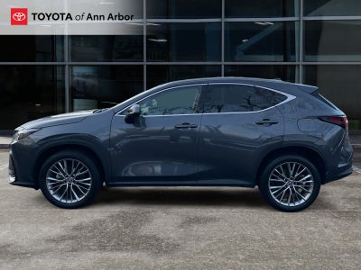 2022 Lexus NX Luxury