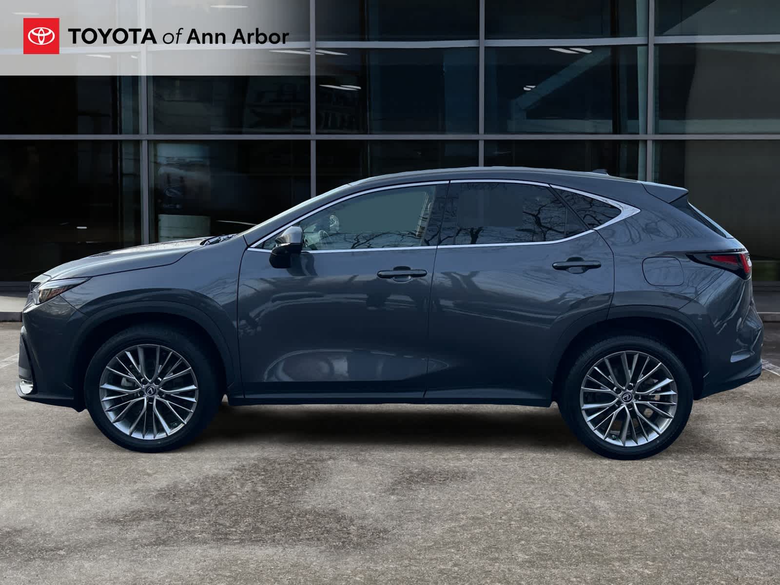 2022 Lexus NX Luxury