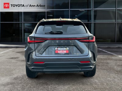 2022 Lexus NX Luxury