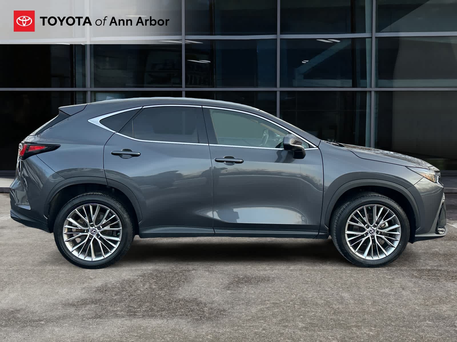 2022 Lexus NX Luxury