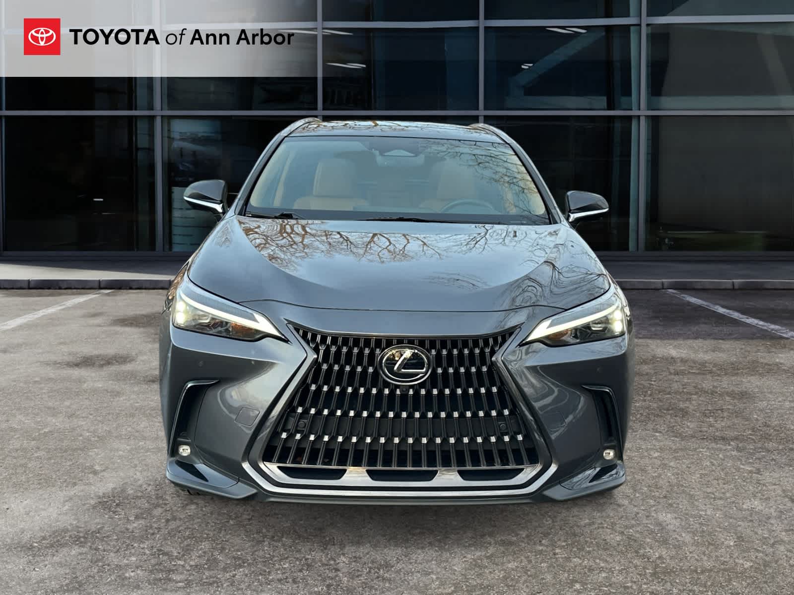 2022 Lexus NX Luxury