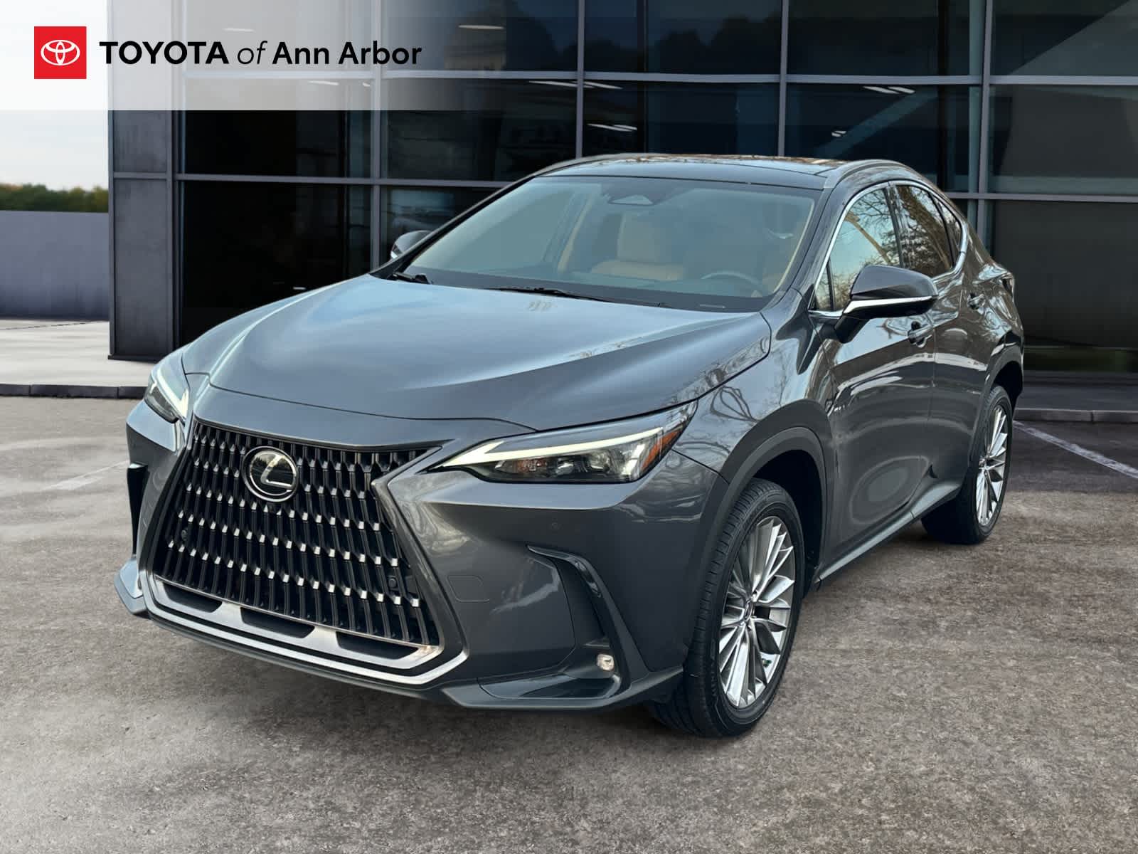 2022 Lexus NX Luxury