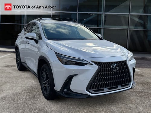 2024 Lexus NX Luxury