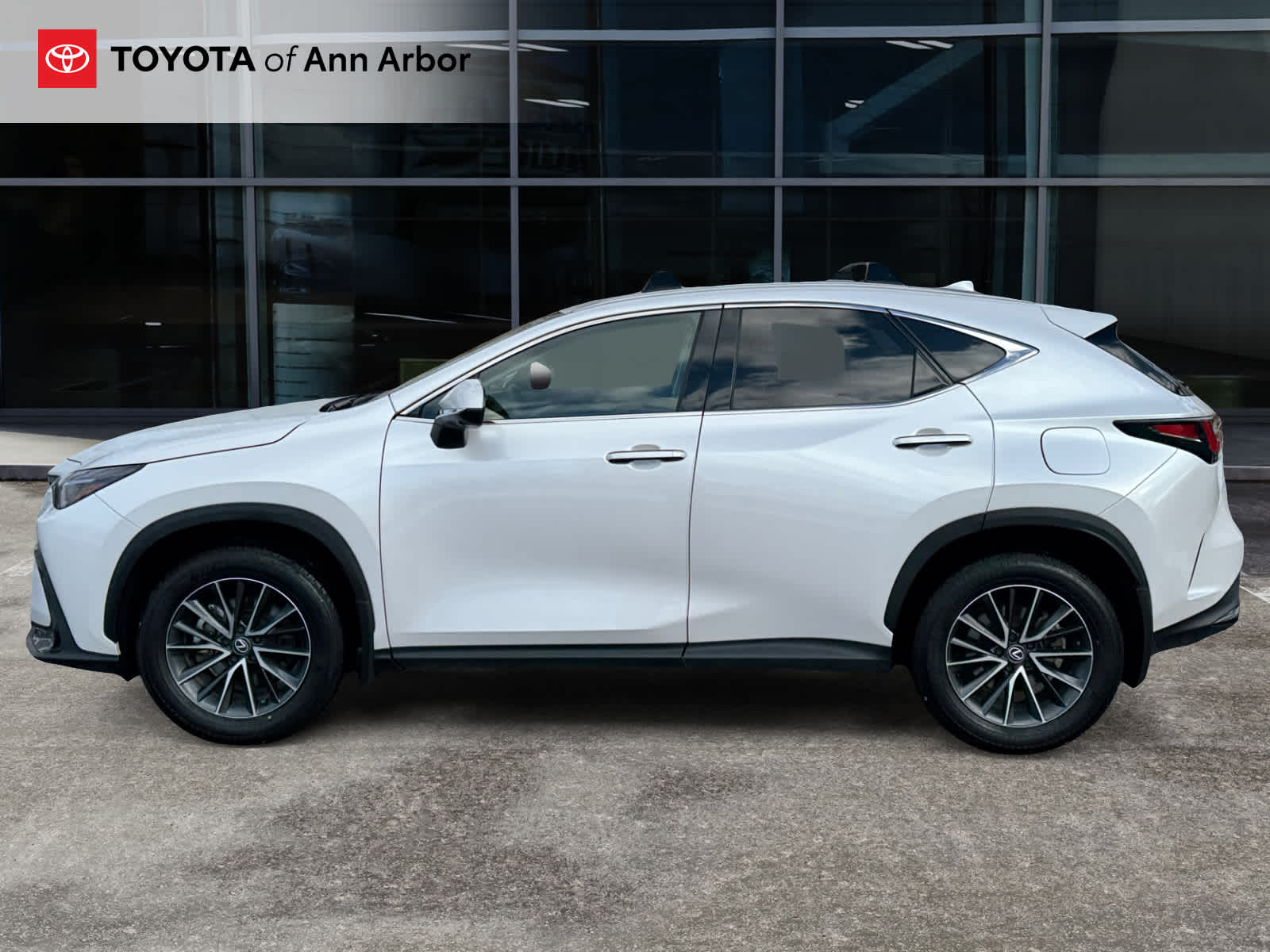 2024 Lexus NX Luxury