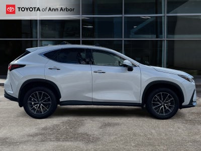 2024 Lexus NX Luxury