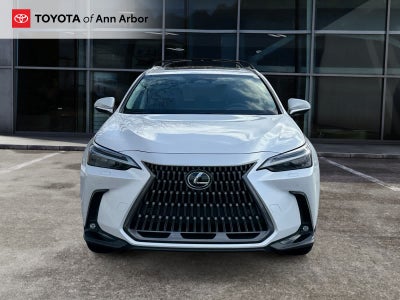 2024 Lexus NX Luxury