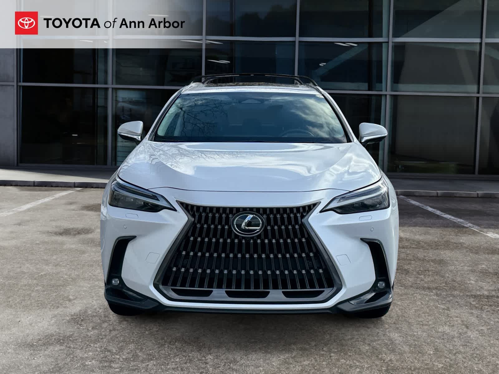 2024 Lexus NX Luxury