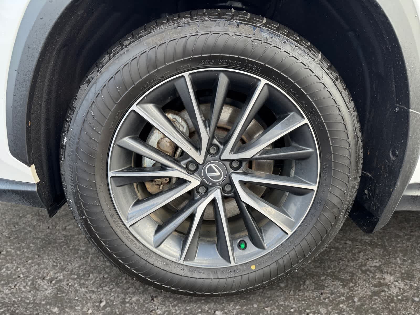 2024 Lexus NX Luxury