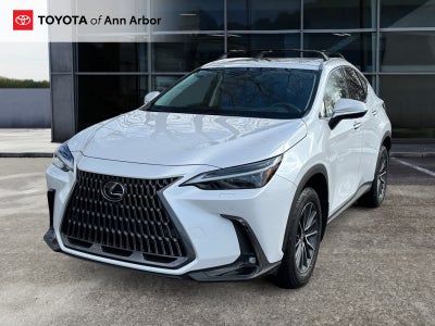 2024 Lexus NX Luxury