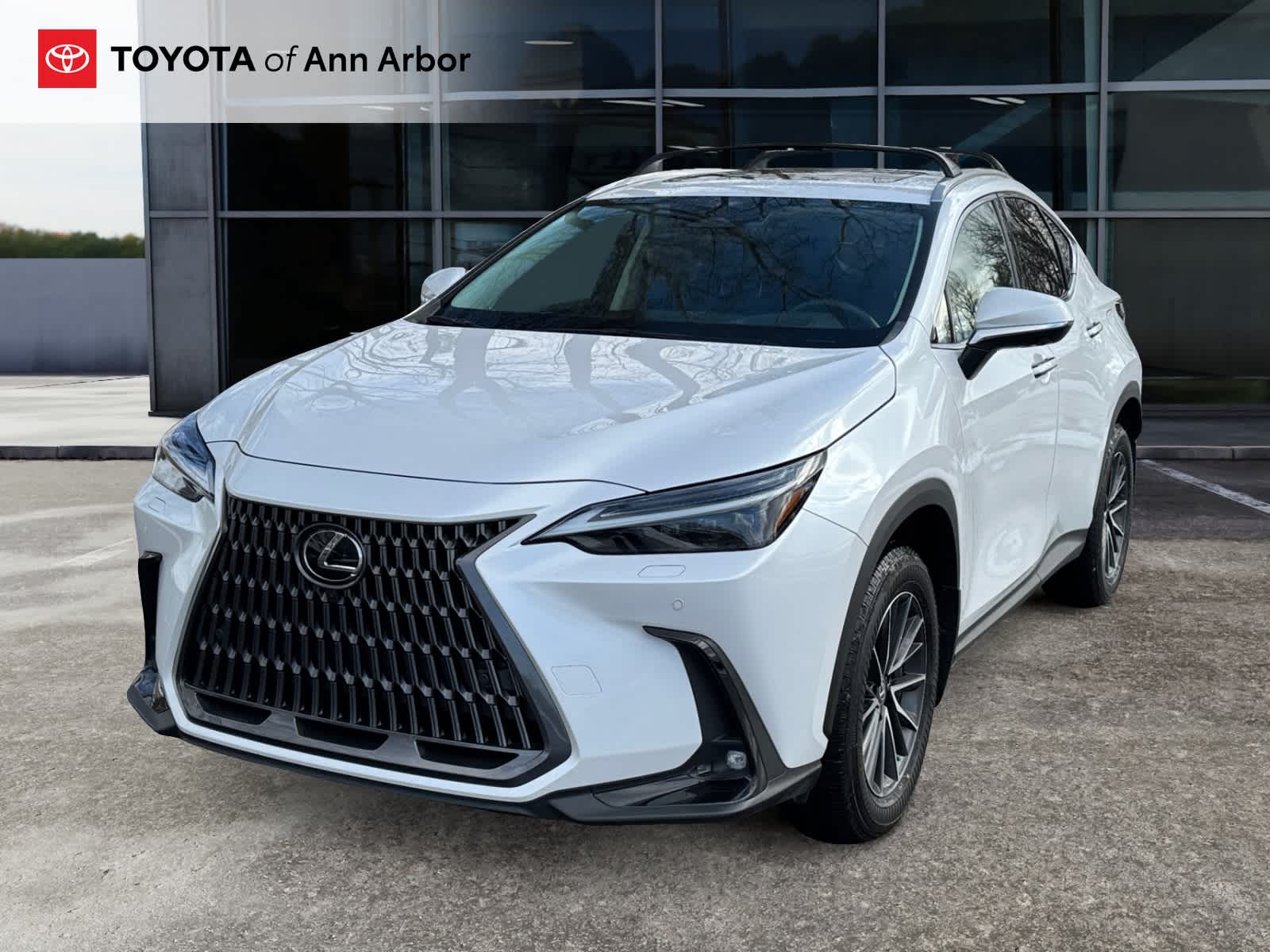 2024 Lexus NX Luxury