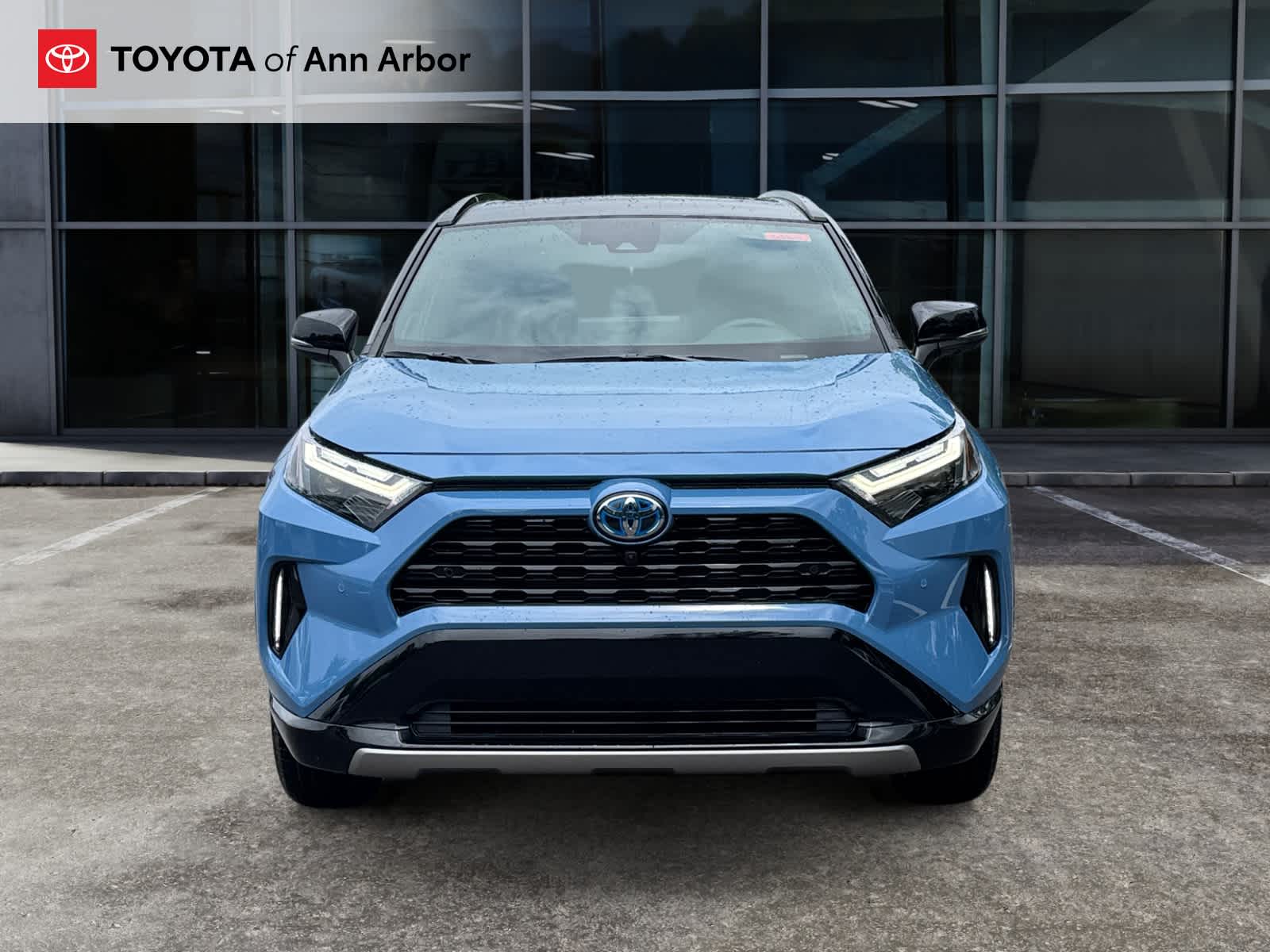 2024 Toyota RAV4 Hybrid XSE