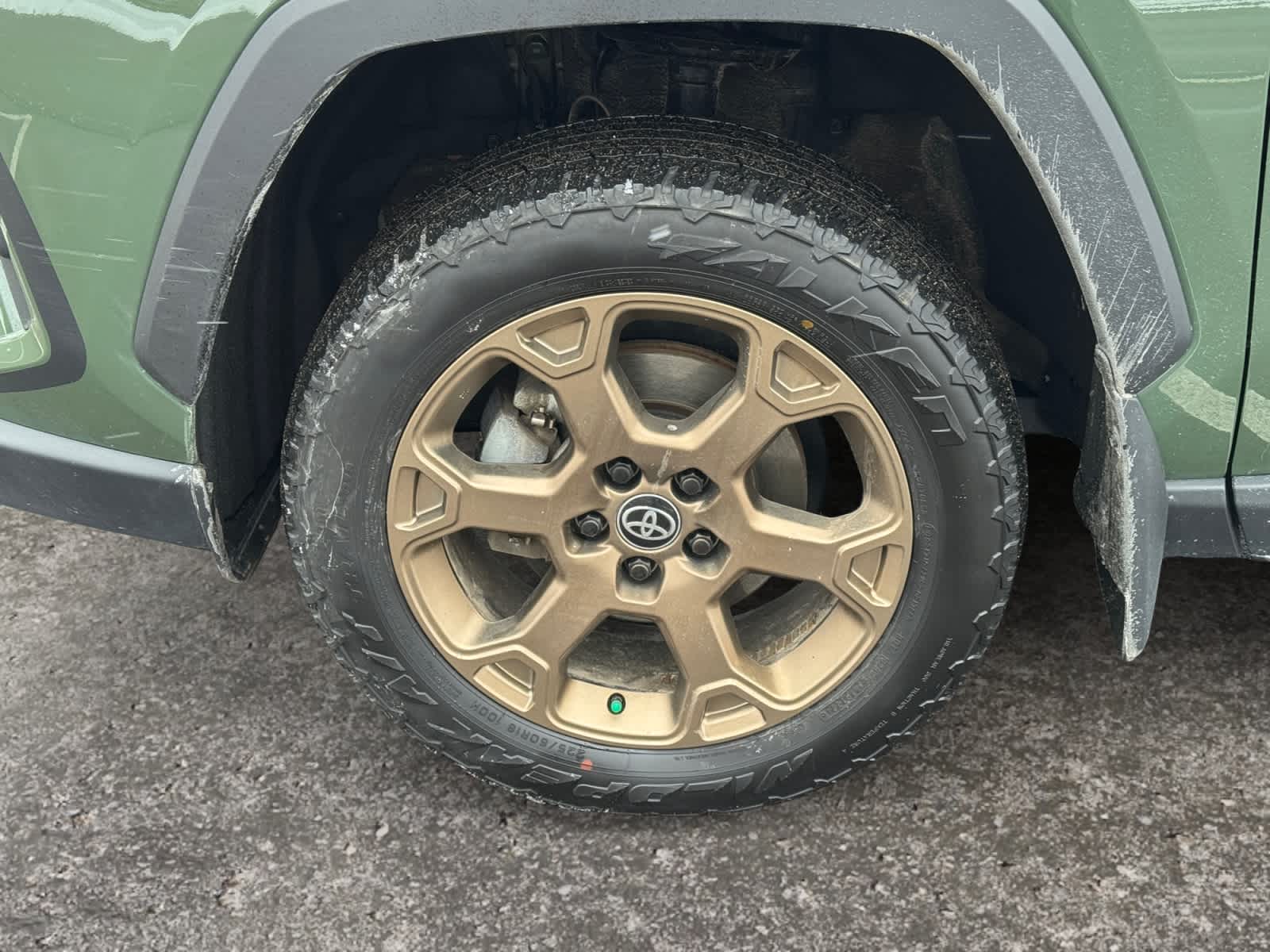 2024 Toyota RAV4 Hybrid Woodland