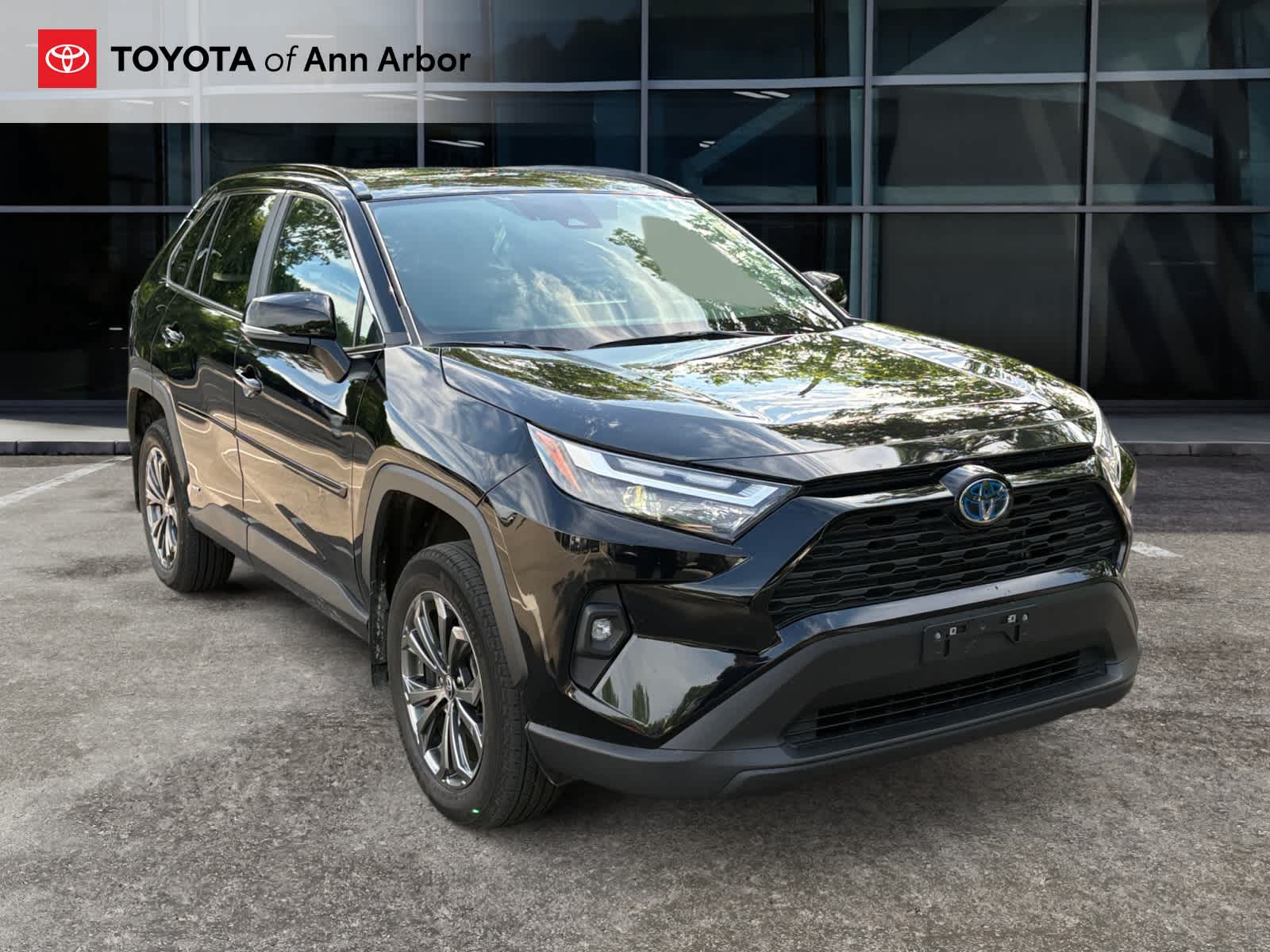 2024 Toyota RAV4 Hybrid XLE Premium