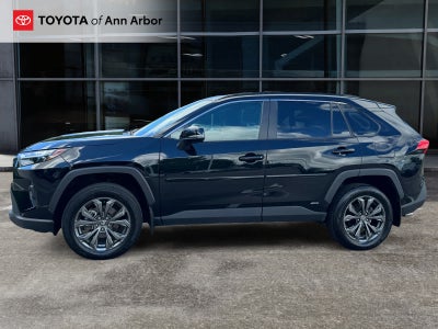 2024 Toyota RAV4 Hybrid XLE Premium