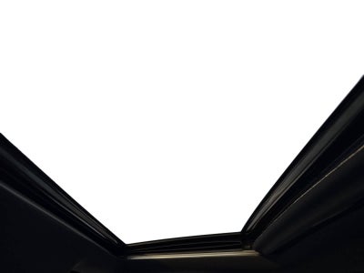 2021 Toyota Tacoma TRD Pro