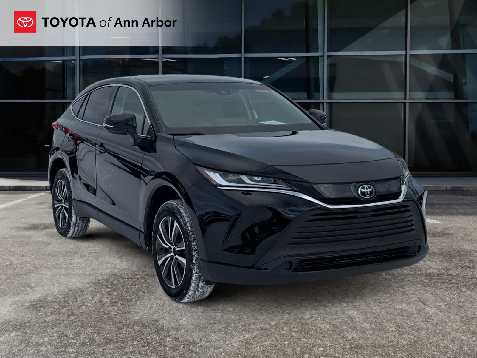 2023 Toyota Venza LE