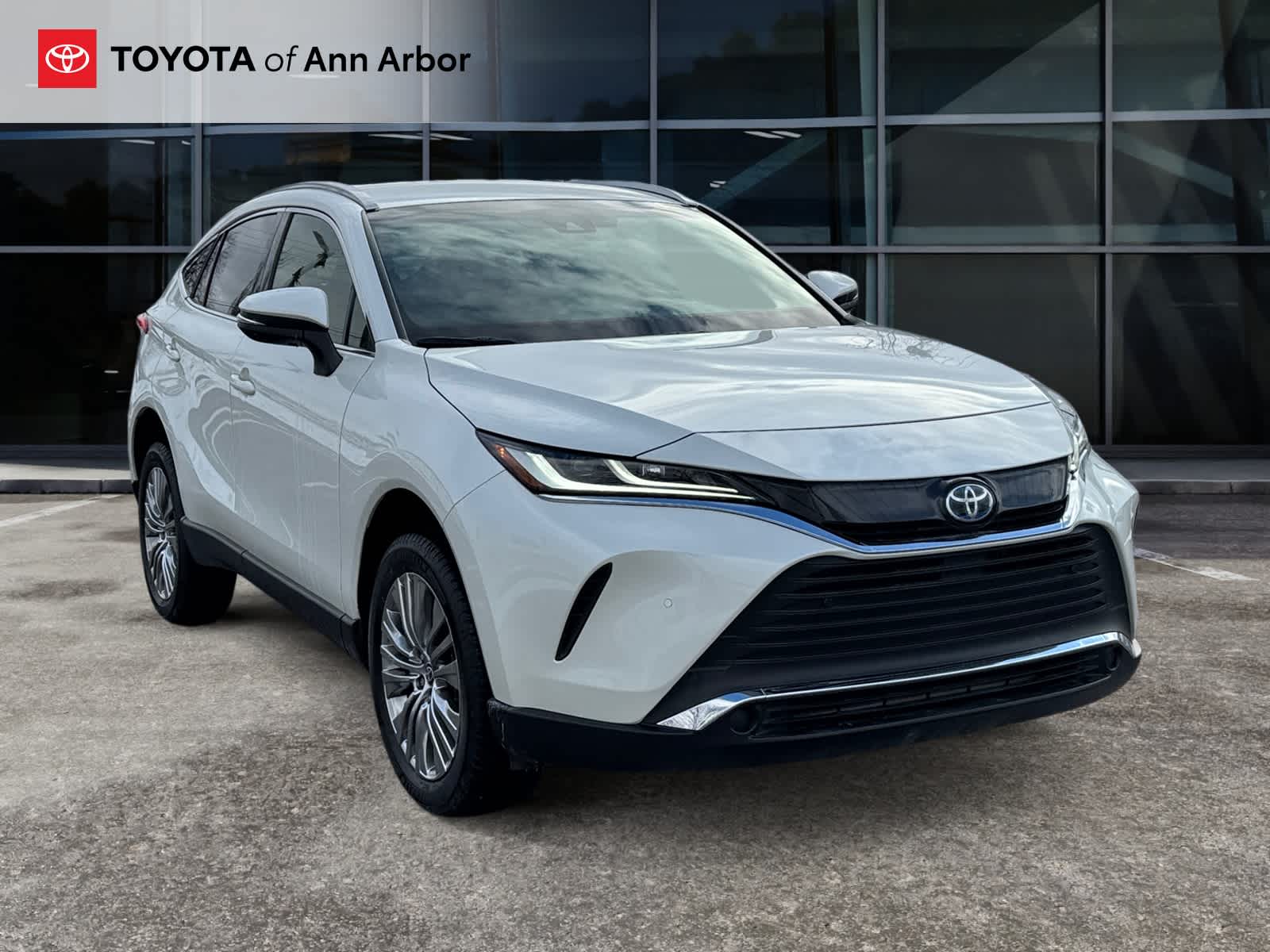 2022 Toyota Venza XLE