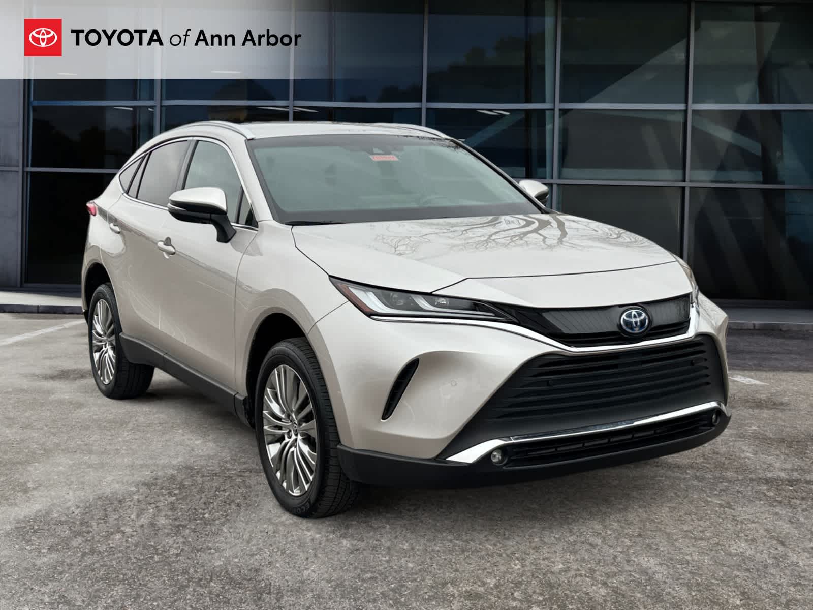 2023 Toyota Venza XLE