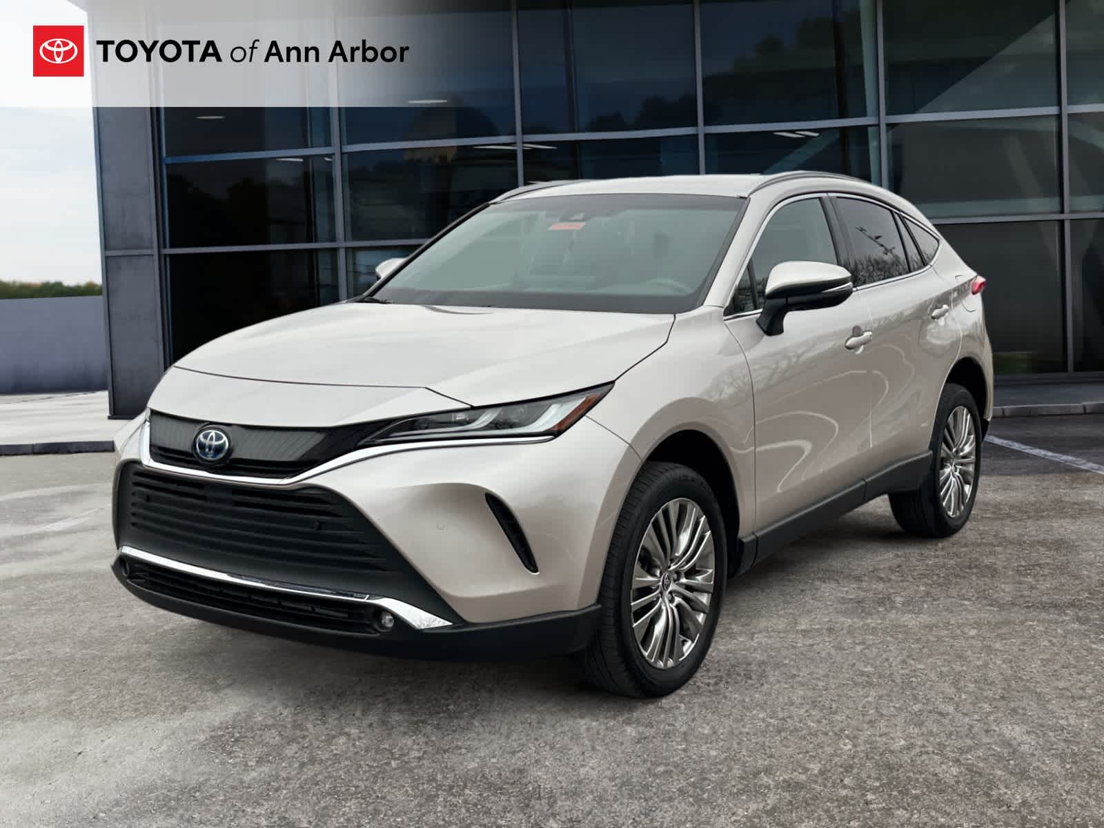 2023 Toyota Venza XLE