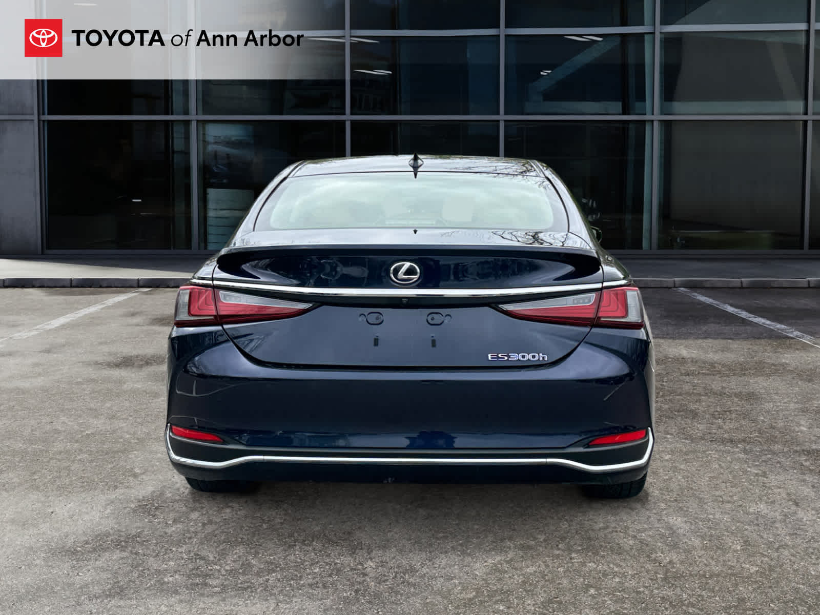 2019 Lexus ES 300h Luxury