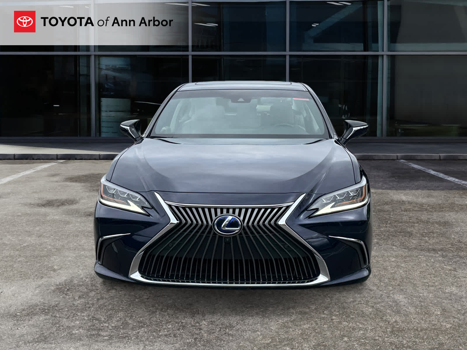 2019 Lexus ES 300h Luxury