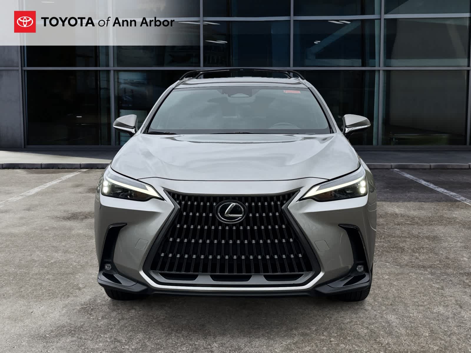 2024 Lexus NX 350h NX 350h