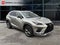 2021 Lexus NX F SPORT