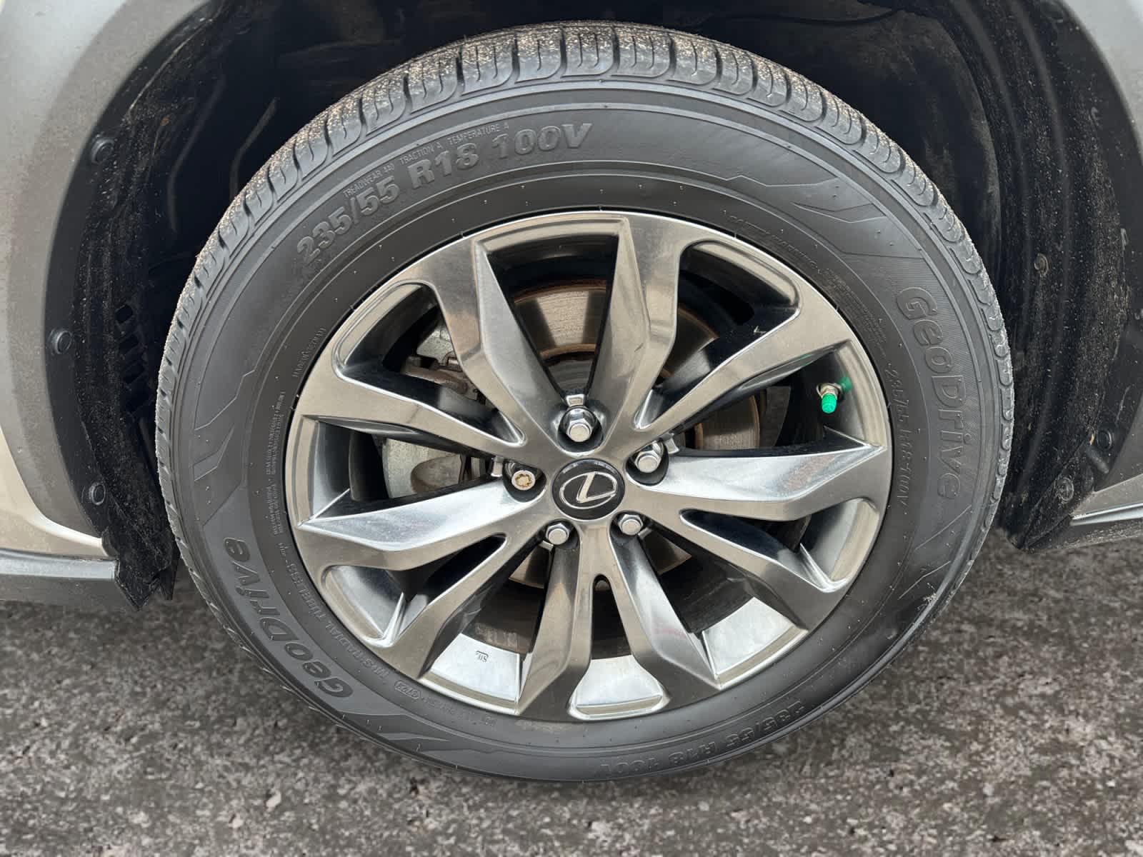 2021 Lexus NX F SPORT